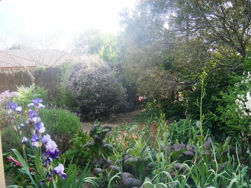 2/4 Kilkenny Close, Armidale NSW 2350