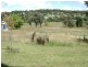 Walcha NSW 2354