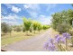 Armidale NSW 2350