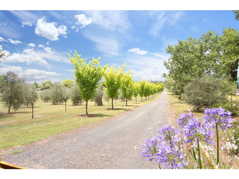 Armidale NSW 2350