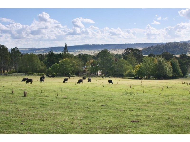 518 Puddledock Road, Armidale NSW 2350