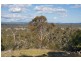518 Puddledock Road, Armidale NSW 2350