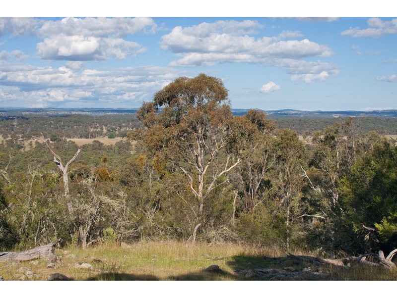 518 Puddledock Road, Armidale NSW 2350