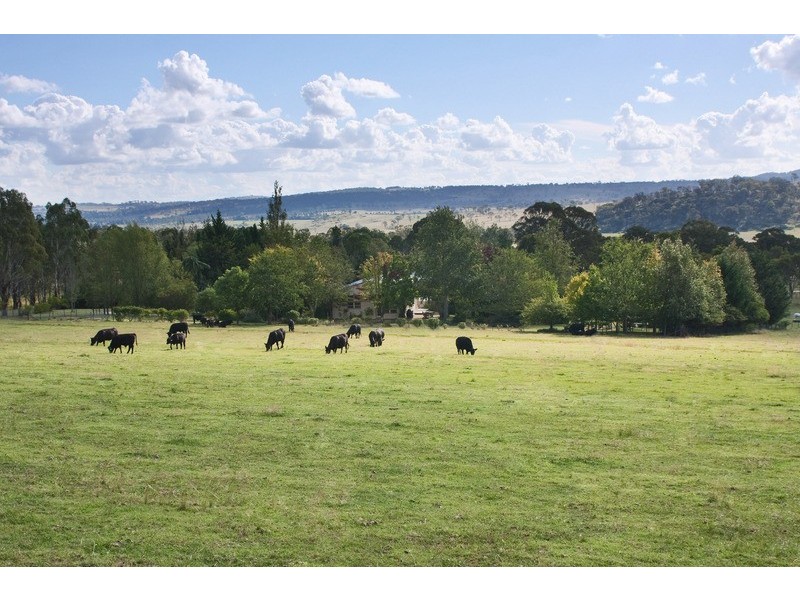 518 Puddledock Rd, Armidale NSW 2350