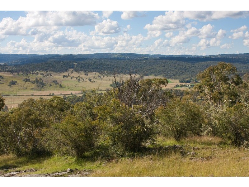 518 Puddledock Rd, Armidale NSW 2350