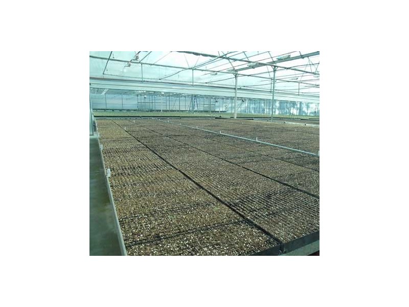 778 Castledoyle Rd, Armidale NSW 2350