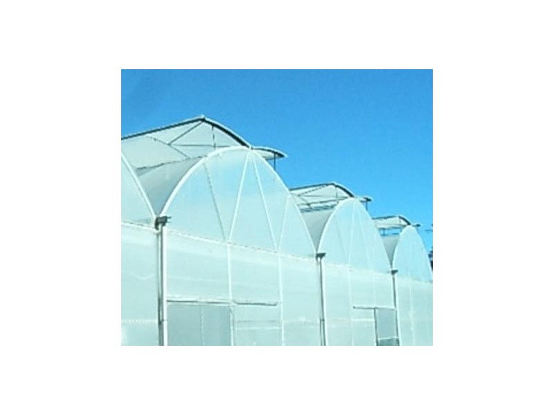 778 Castledoyle Rd, Armidale NSW 2350