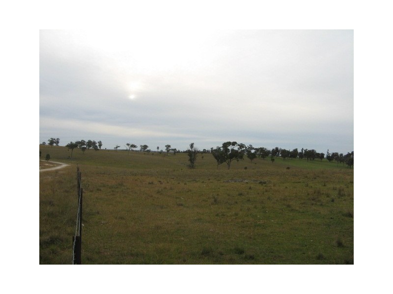 37 Blue Knobby Rd, Enmore NSW 2350