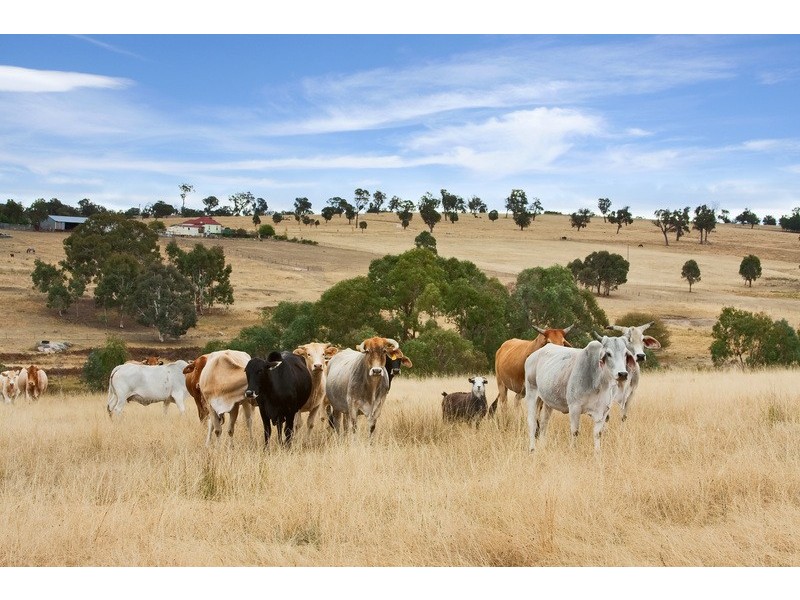 6362 New England Highway, Kentucky NSW 2354