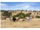 6362 New England Hwy, Kentucky NSW 2354