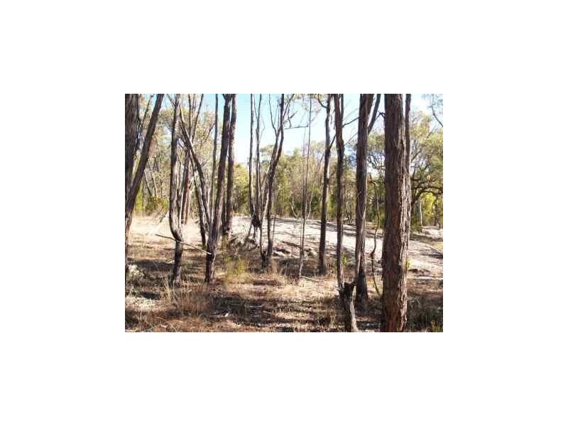 1375 Retreat Road, Retreat NSW 2355