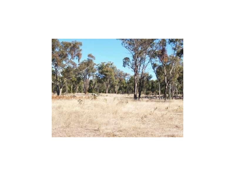 1375 Retreat Road, Retreat NSW 2355
