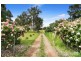 163  Rock Abbey Road, Uralla NSW 2358