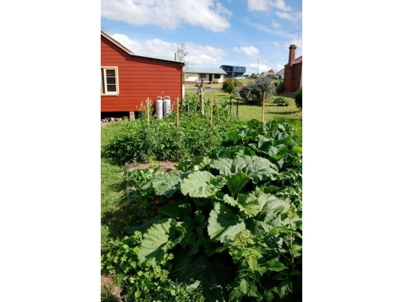 29 Queen Street, Uralla NSW 2358