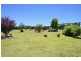 3 Sandon Court, Uralla NSW 2358