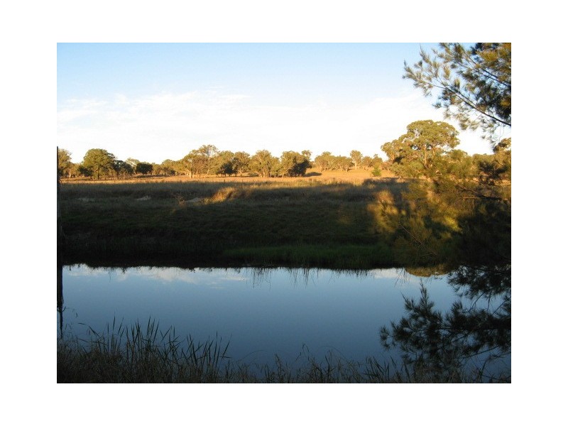 21 Sawmillpitt Lane, Kingstown NSW 2358