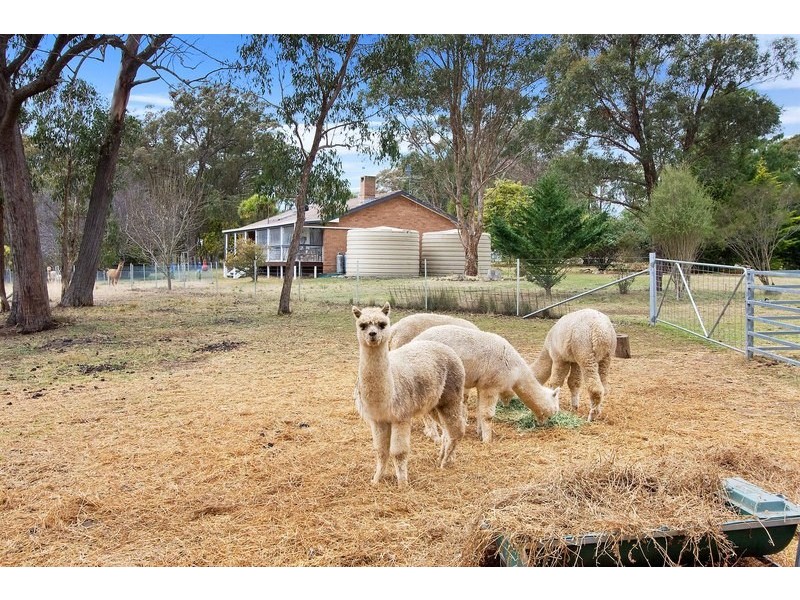 52 Budumba Road, Invergowrie, Armidale NSW 2350