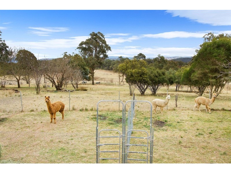52 Budumba Road, Invergowrie, Armidale NSW 2350