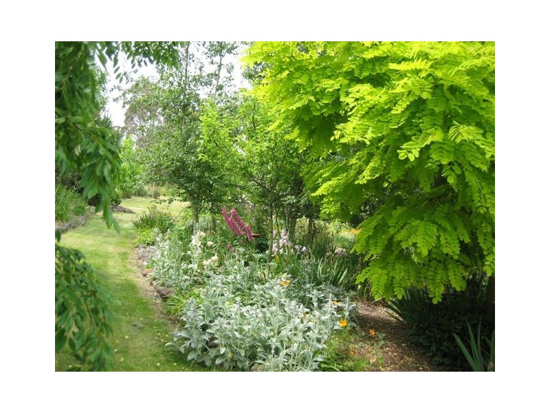 7 Wallaby Rocks Lane, Uralla NSW 2358