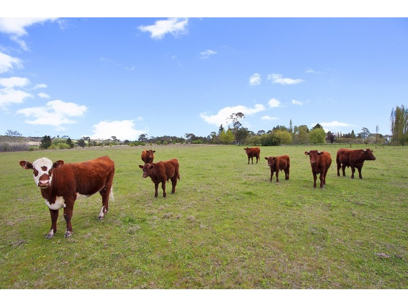 47 Bellewood Road, Armidale NSW 2350