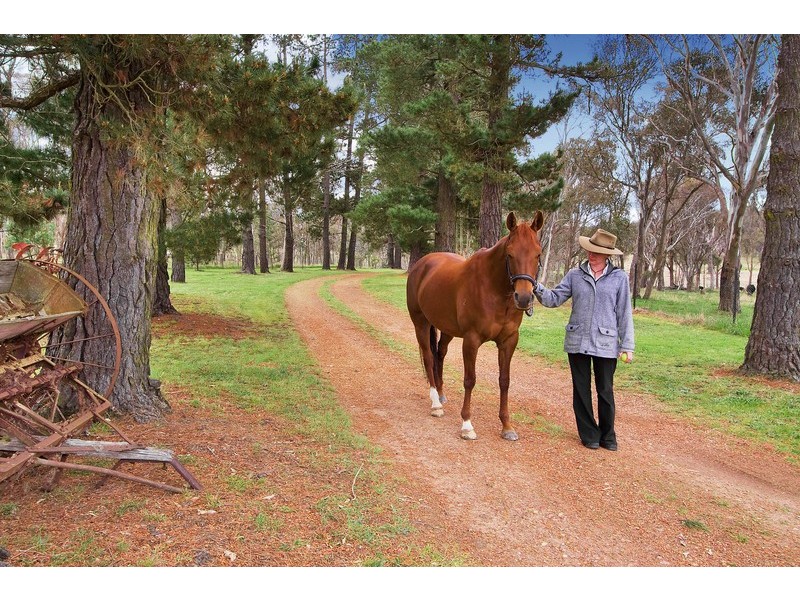 216 Cookes Road, Armidale NSW 2350