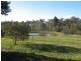 42 Quartz Gully Road, Uralla NSW 2358