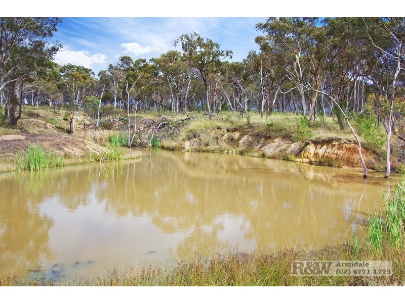 Lot 6 Panhandle Road, Uralla NSW 2358