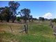 Bundarra NSW 2359