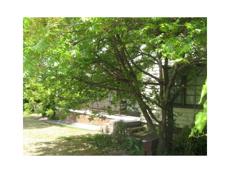 14 Drummond Ave, Armidale NSW 2350