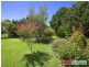 293 Wollun Road, Wollun NSW 2354
