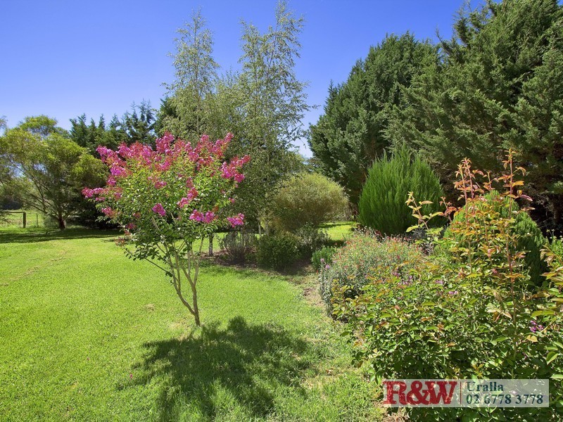 293 Wollun Road, Wollun NSW 2354