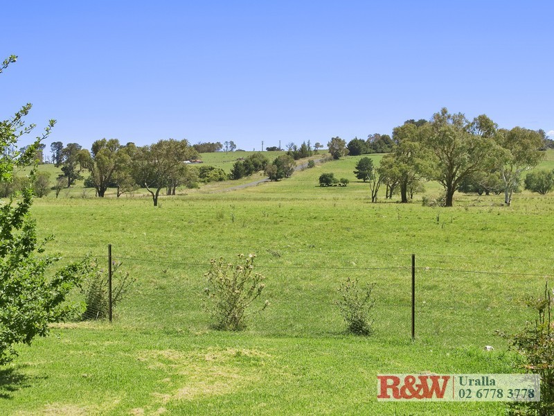 293 Wollun Road, Wollun NSW 2354