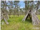 659 Long Swamp Road, Armidale NSW 2350