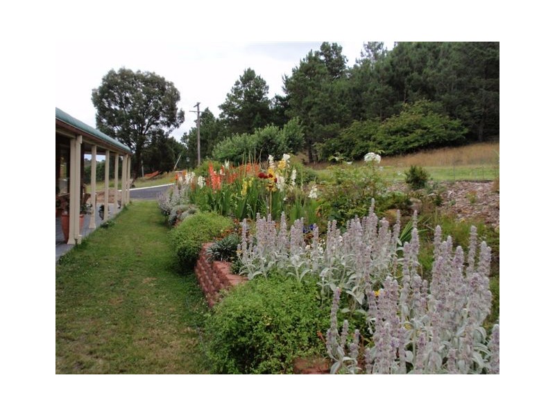 10 Fitzroy Street, Uralla NSW 2358