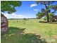 291 Burns Road, Armidale NSW 2350