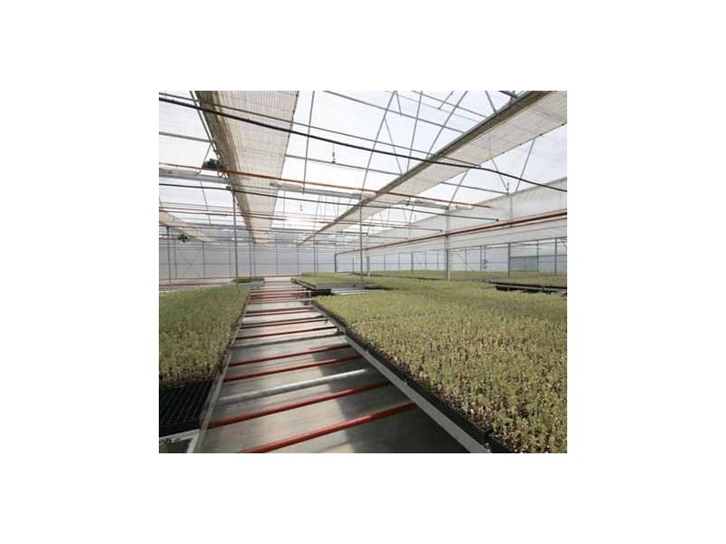 778 Castledoyle Road, Armidale NSW 2350