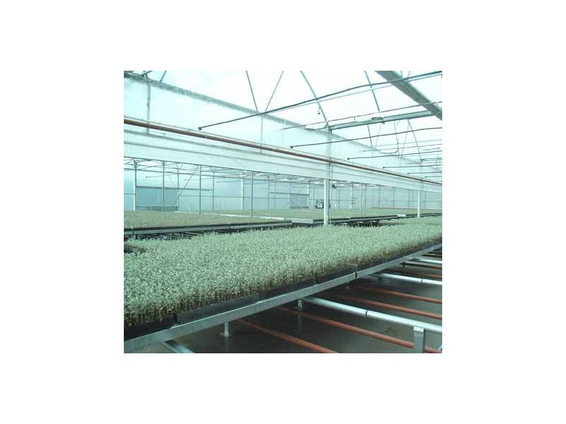 778 Castledoyle Road, Armidale NSW 2350