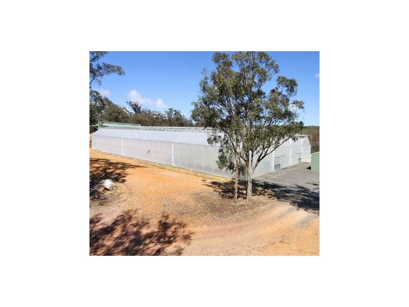 778 Castledoyle Road, Armidale NSW 2350