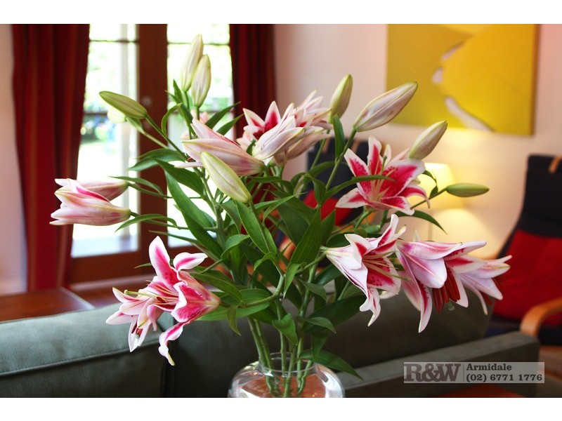 146 Mossman Street, Armidale NSW 2350