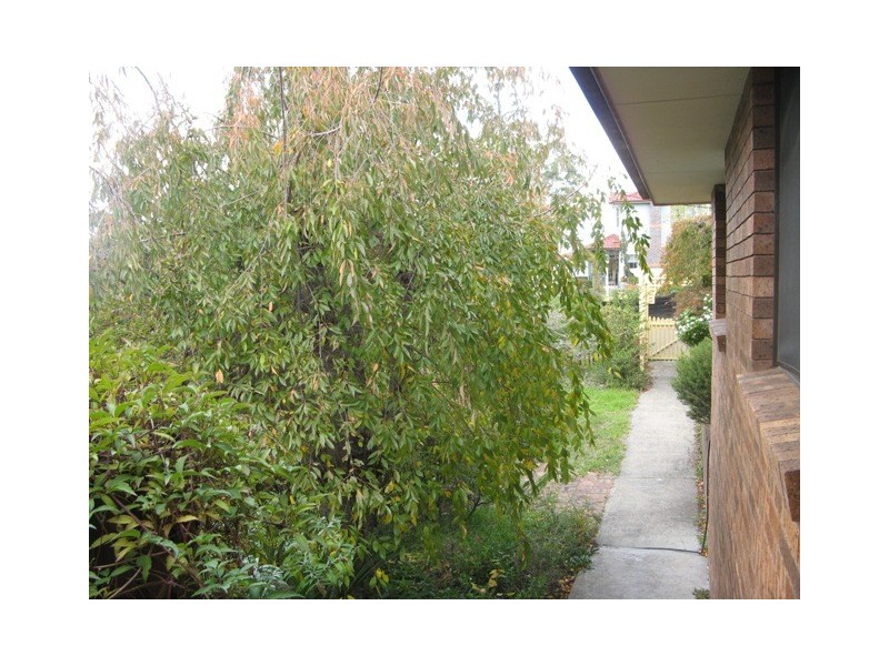 13 Newbury Drive, Armidale NSW 2350