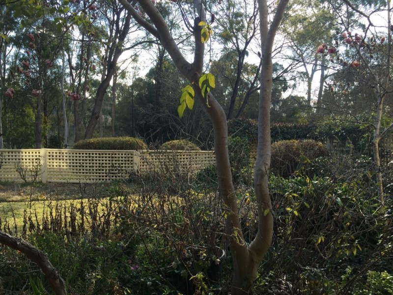 5/20 The Boulevarde, Armidale NSW 2350