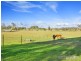 45 Heathersleigh Rd, Kellys Plains, Armidale NSW 2350