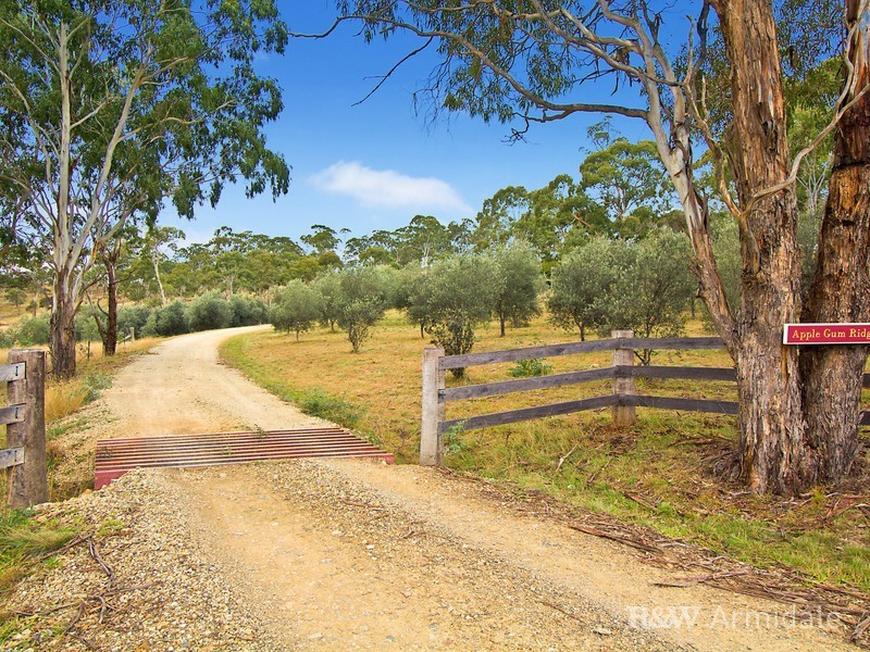 165 Translator Road, Armidale NSW 2350