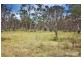“Woodland” Panhandle Road, Uralla NSW 2358