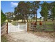 193 Toms Gully Road, Black Mountain, Armidale NSW 2350