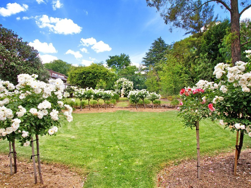 80 Barney Street, Armidale NSW 2350