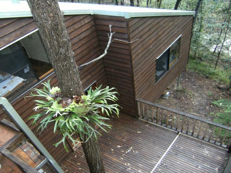 11-21 Pohon Drive, Tanah Merah QLD 4128