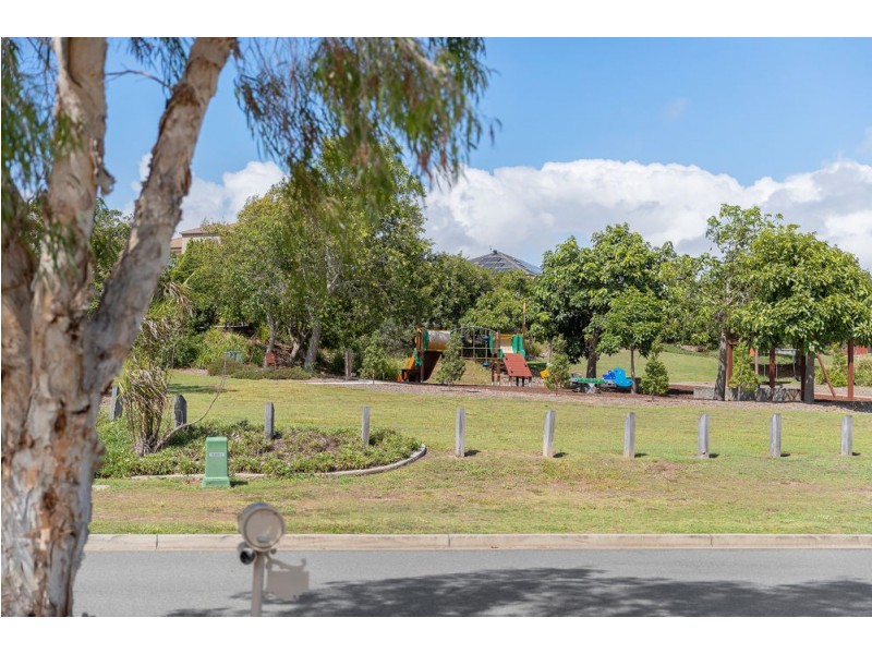 1 Tattler Street, Mango Hill QLD 4509