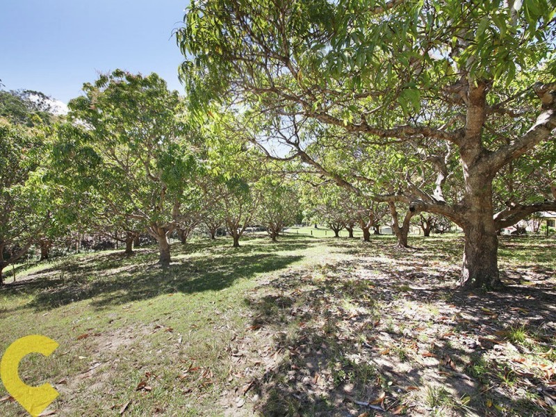 103 F Lindsay Rd, Rocksberg QLD 4510