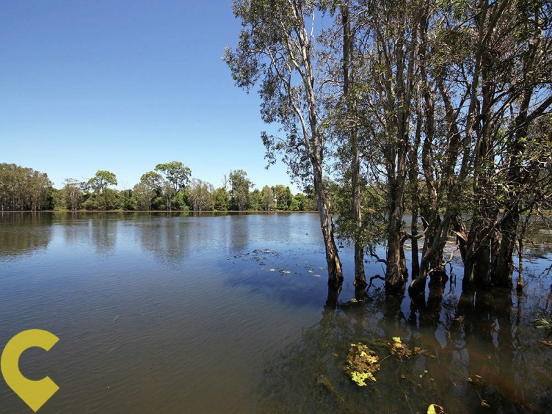 10 Blackall Road, Murrumba Downs QLD 4503